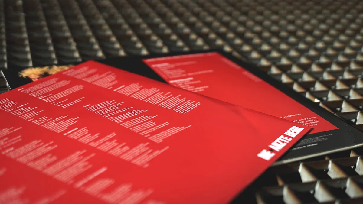 Debil [Vinyl LP]