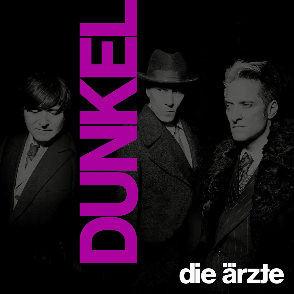 DUNKEL (Ltd. Doppelvinyl im Schuber mit Girlande, halbtransparentes lila-pink) [Vinyl LP]