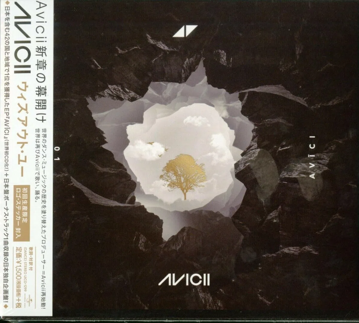 Avicii - AVICI *