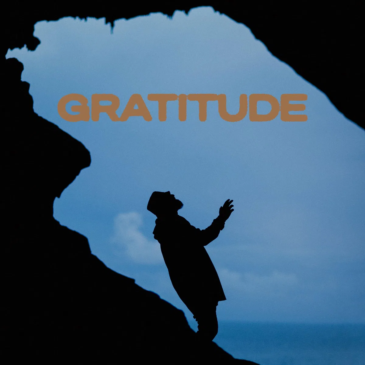 Gratitude (Orange Vinyl - Exklusiv bei Amazon.de) [Vinyl LP]