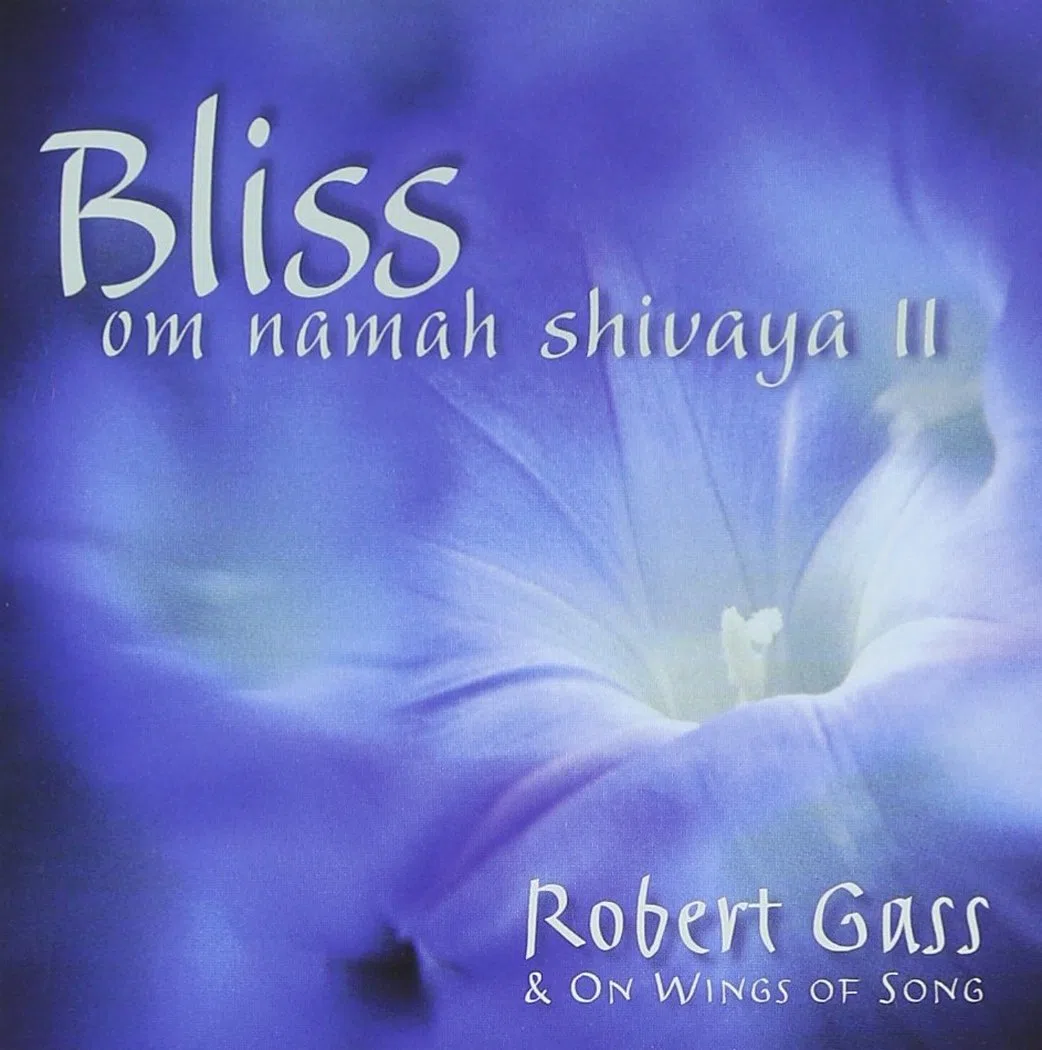 Bliss: Om Namah Shivaya II