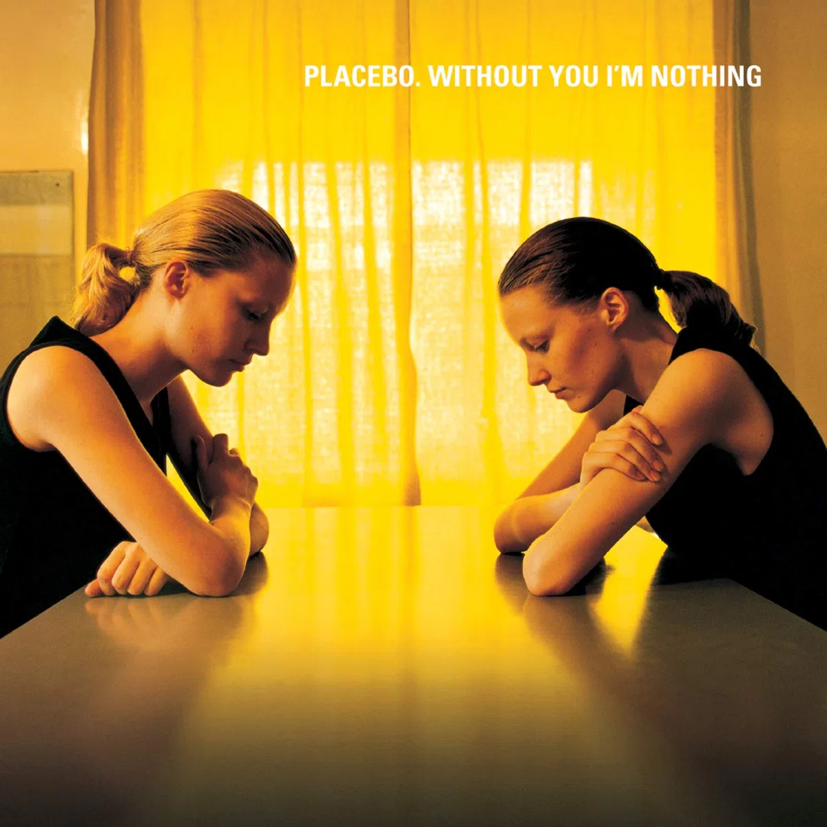 Without You I'M Nothing [Vinyl LP]