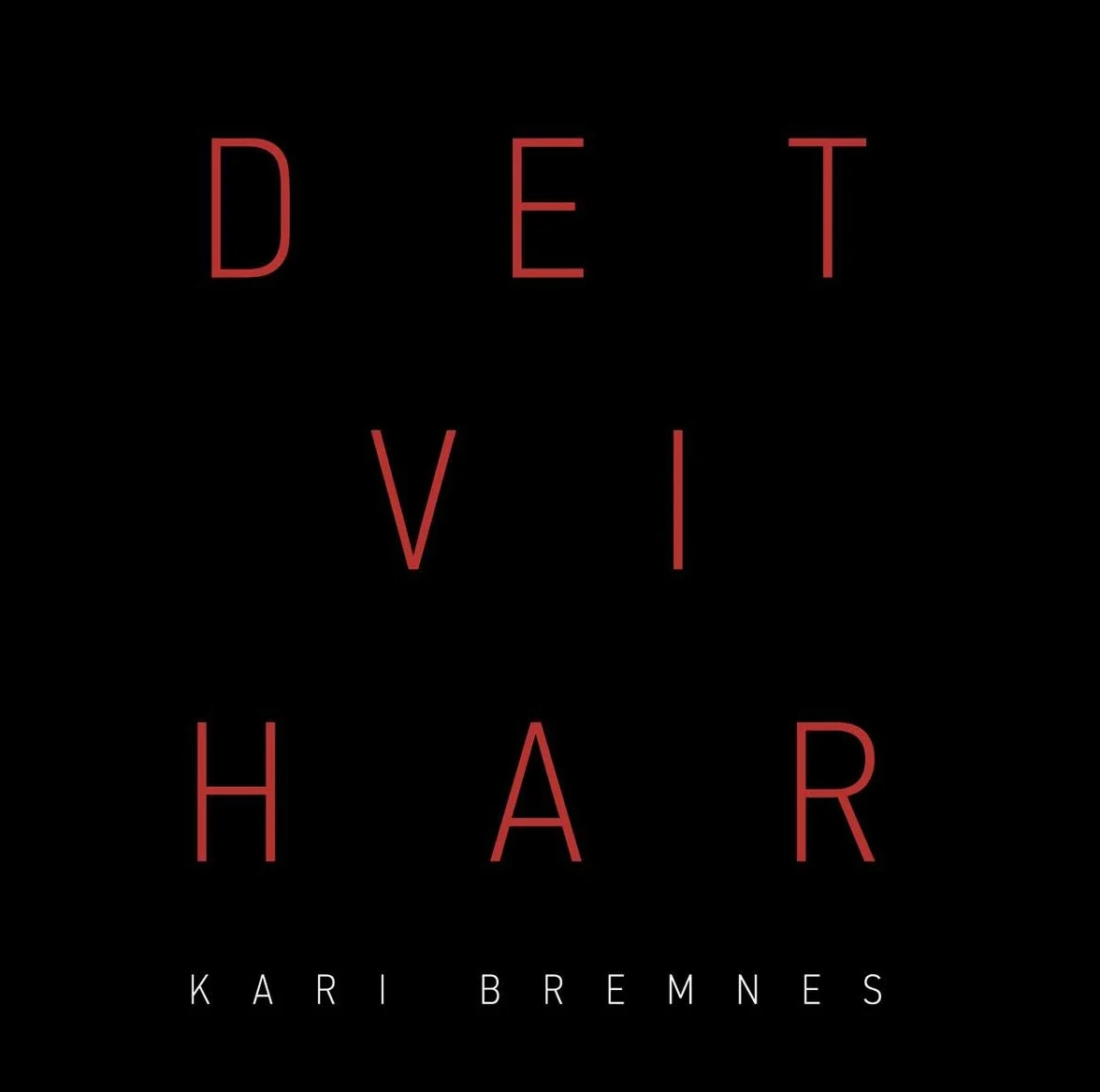 Det VI Har [Vinyl LP]