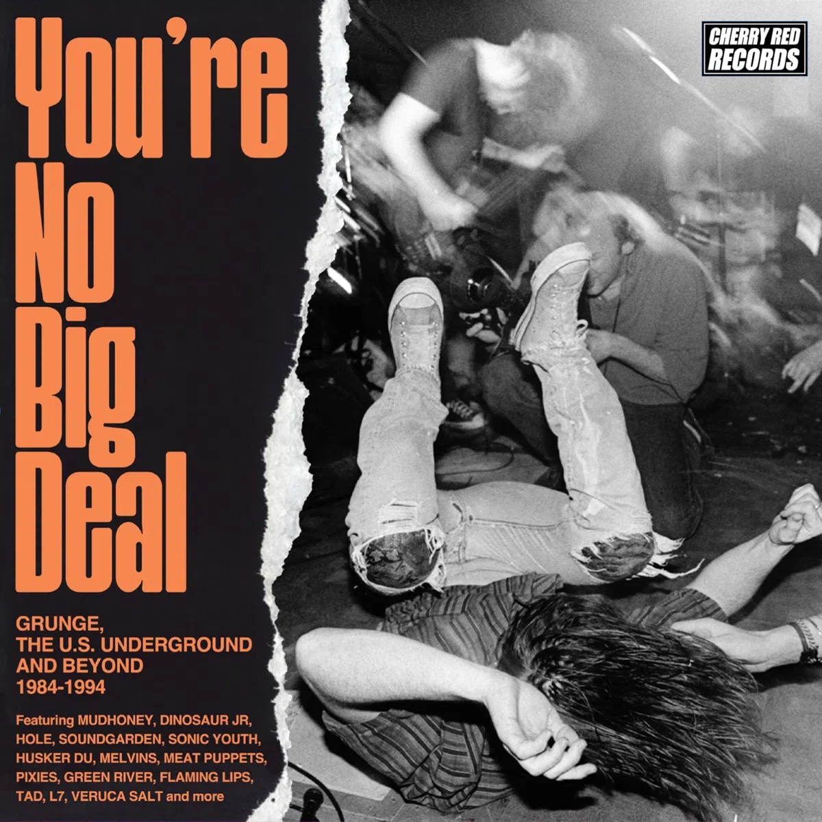 You're No Big Deal-Grunge 1984-1994 (4CD)