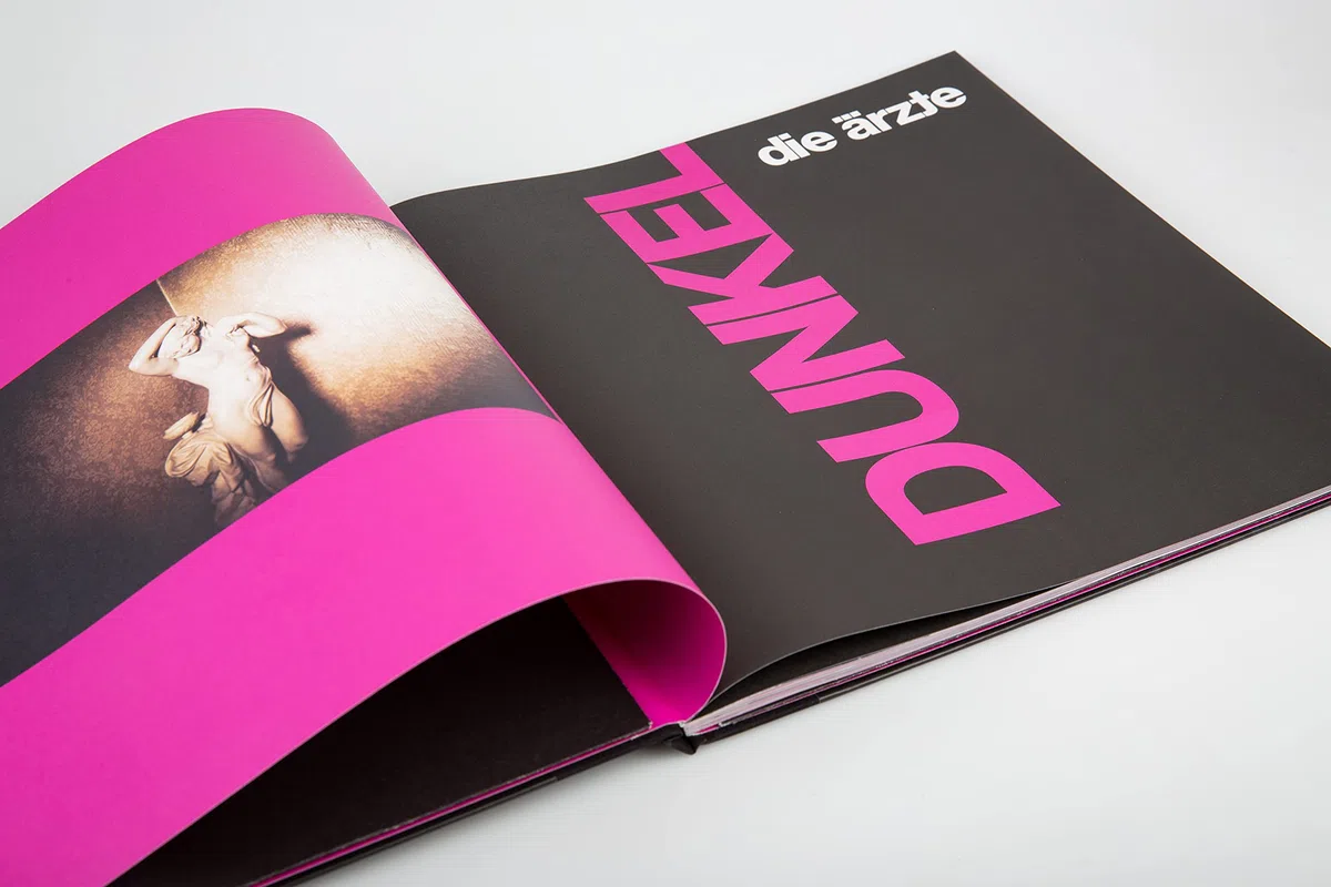 DUNKEL (Ltd. Doppelvinyl im Schuber mit Girlande, halbtransparentes lila-pink) [Vinyl LP]
