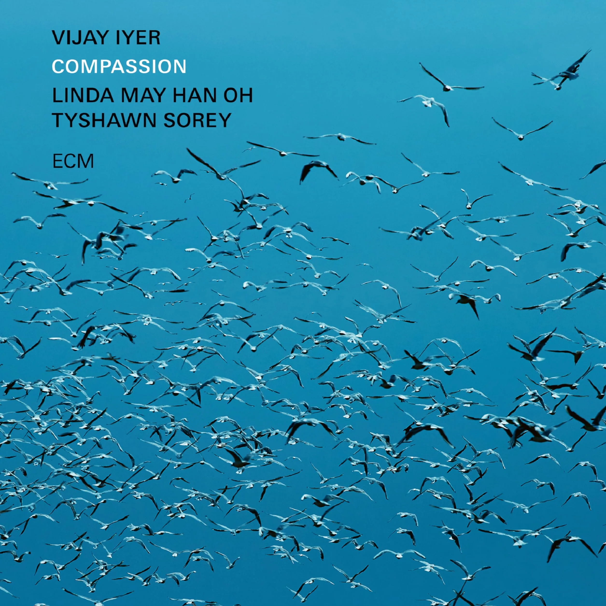 Compassion LP