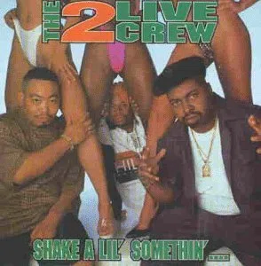 Shake a Lil Somethin