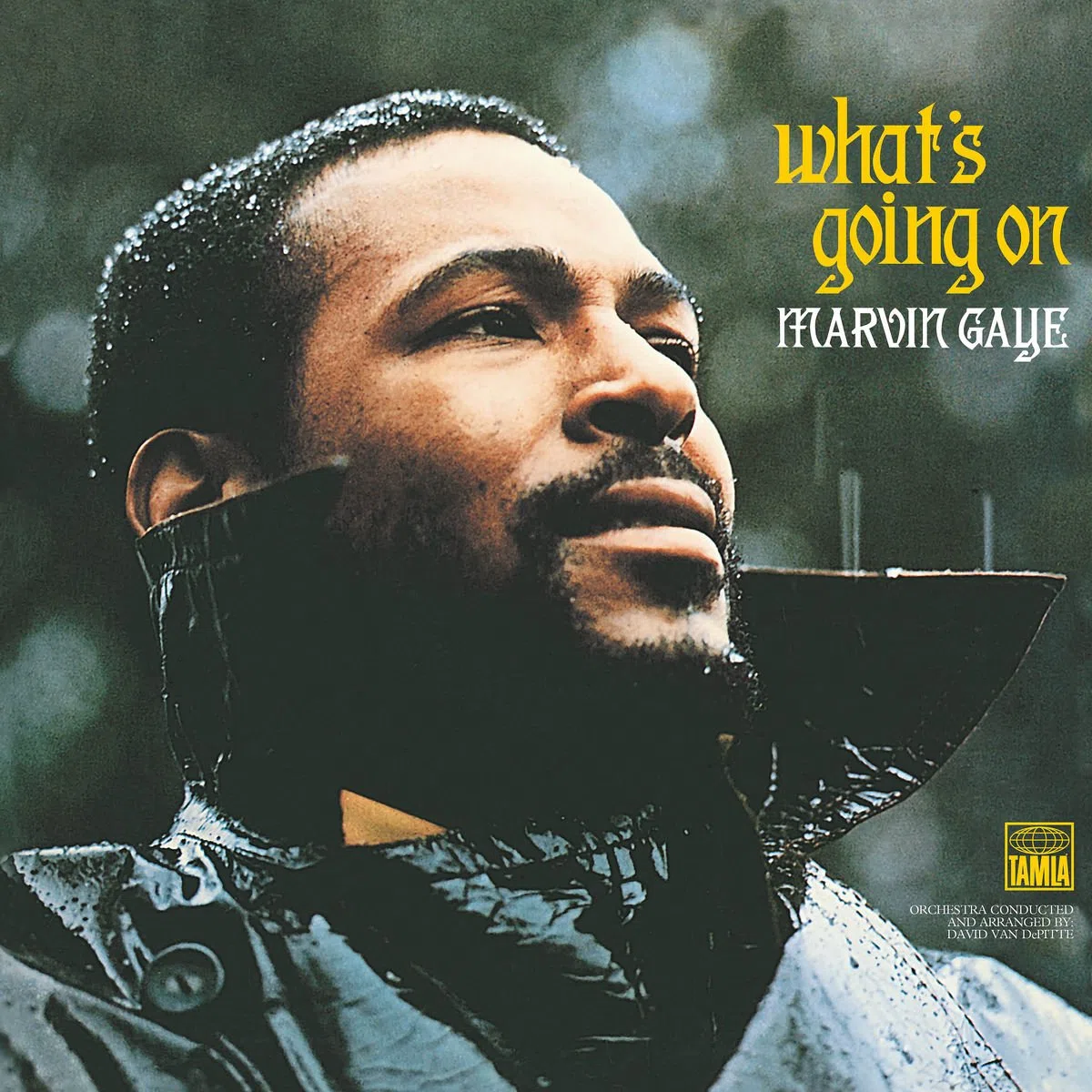 What's Going On (50th Anniversary) [Vinyl LP]
