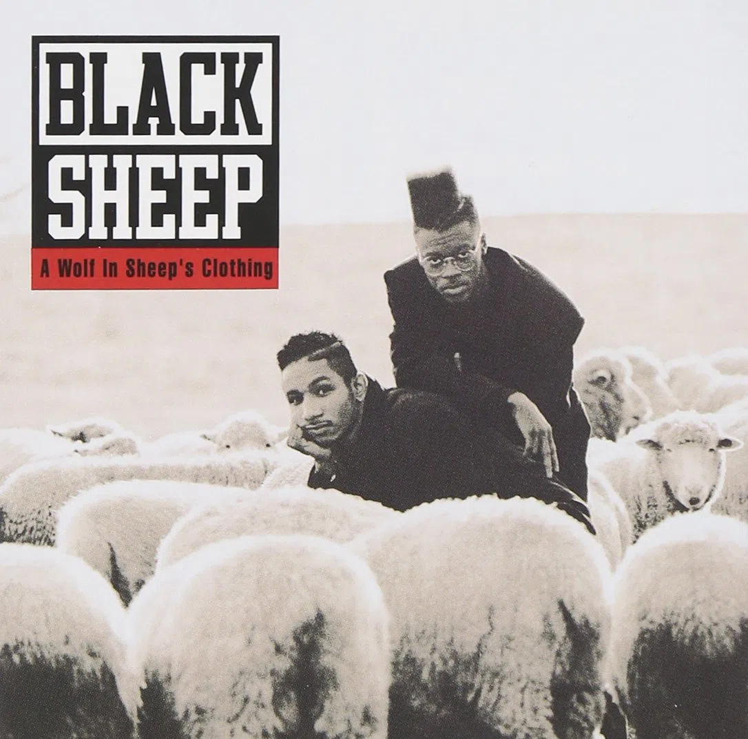 A Wolf in Sheep'S Clothing