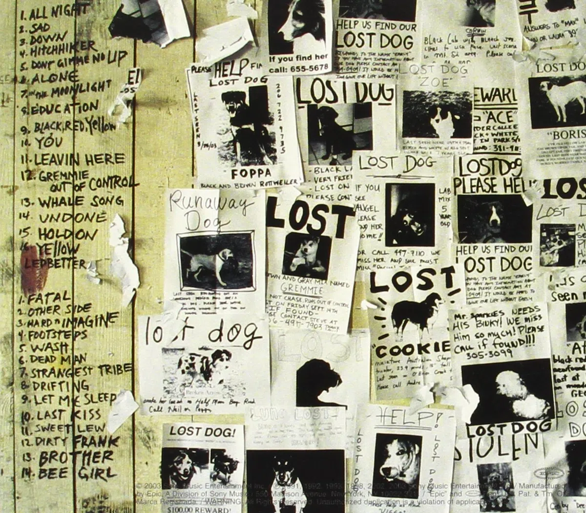 Lost Dogs