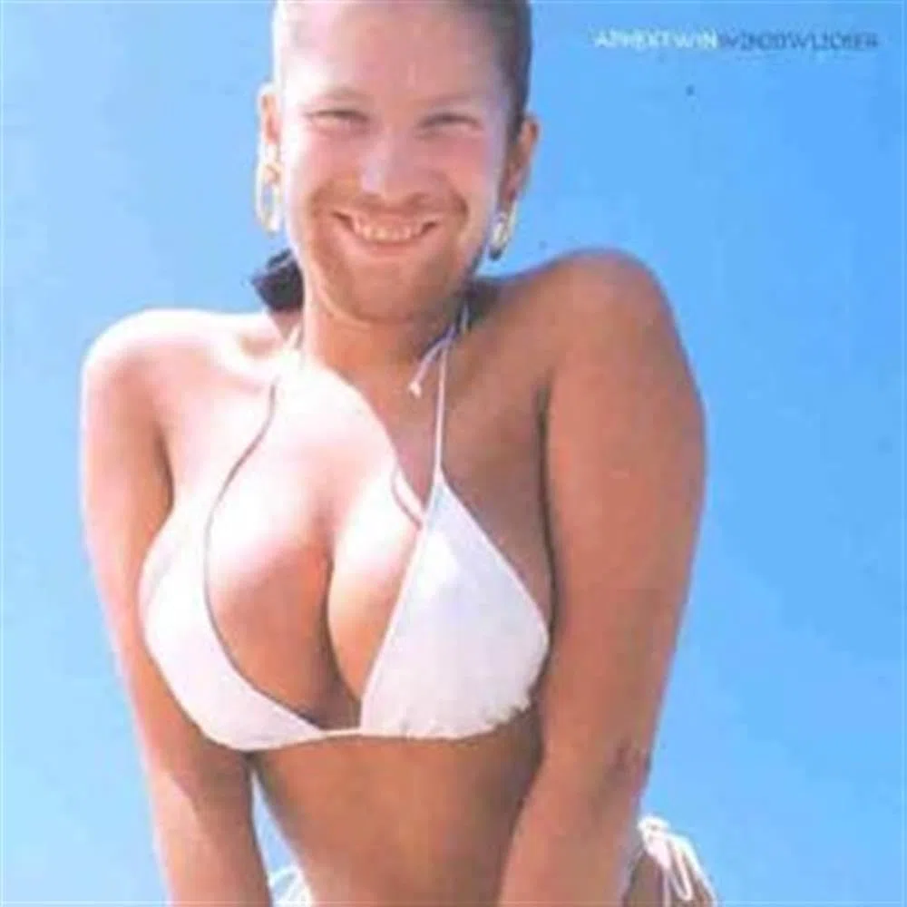 Windowlicker